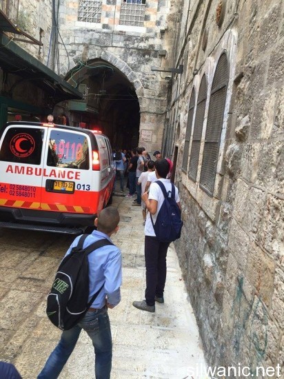 12030884_10153024321772466_227513491_n