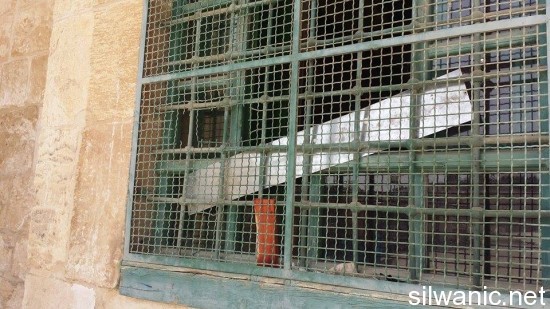 12032405_10153022789882466_2095365472_n