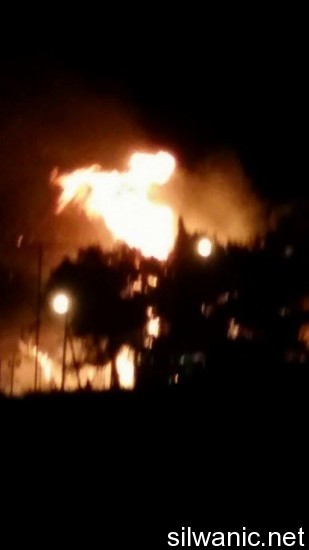 12033350_10153028761247466_2039925361_n