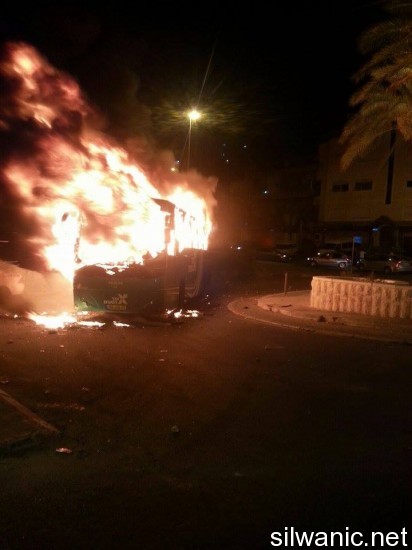 12033393_10153029024797466_387121239_n