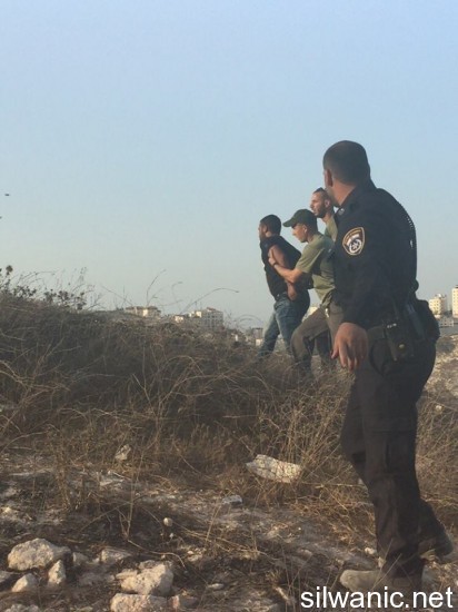 12033469_10153025251737466_1691772811_n