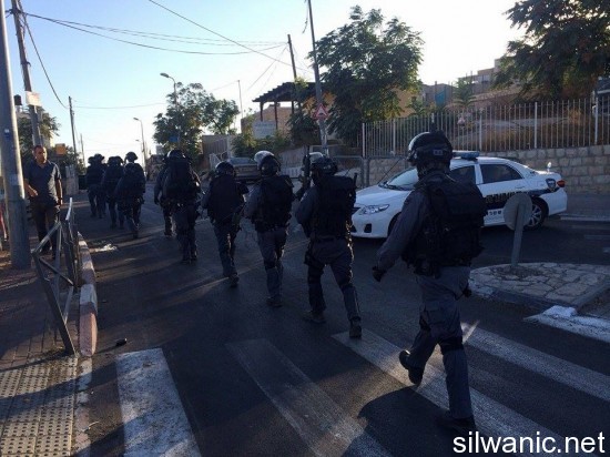 12033585_10153030227252466_1127537826_n