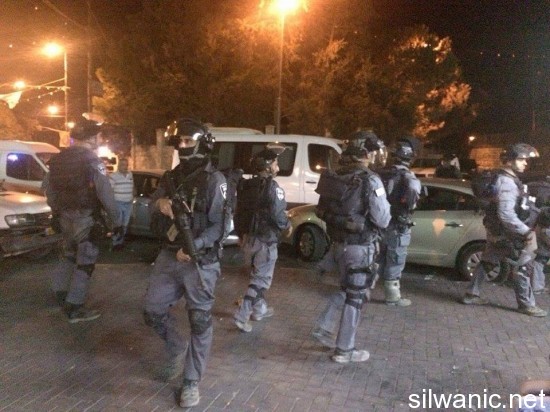 12041937_10153028761717466_600781223_n