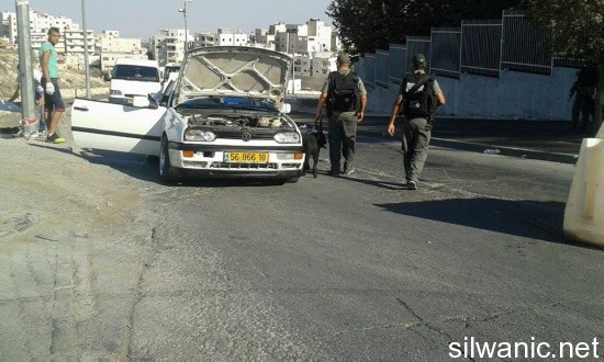 12049033_10153030227827466_1766371880_n