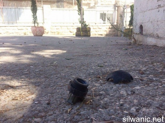 12063976_10153046674197466_824432516_n