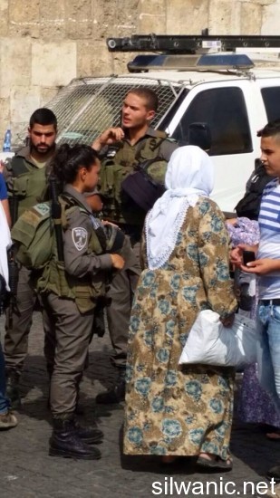 الاقصى الاسباط