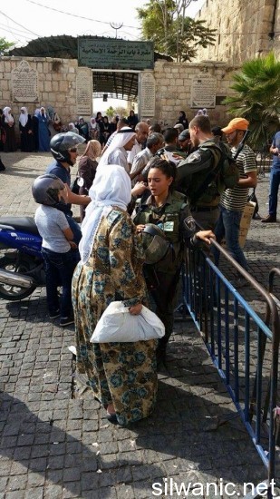 باب الاسباط