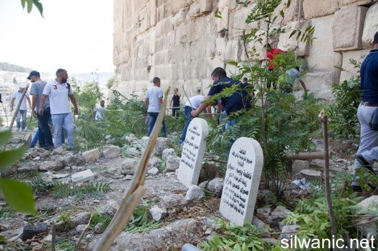 تنظيف المقبرة