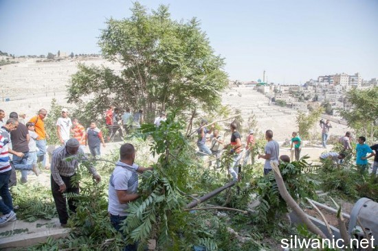 تنظيف مقبرة