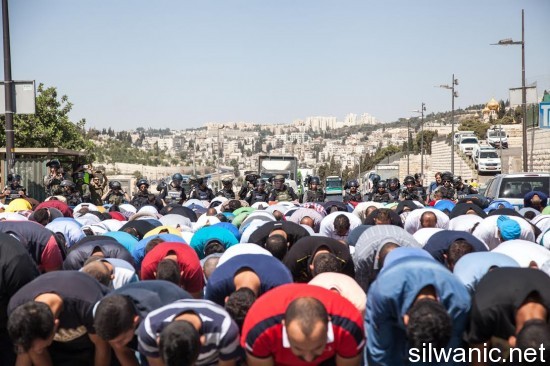 حي رأس عامود