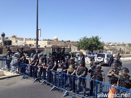 راس العامود