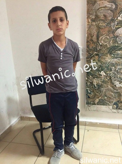 رامي ربيع
