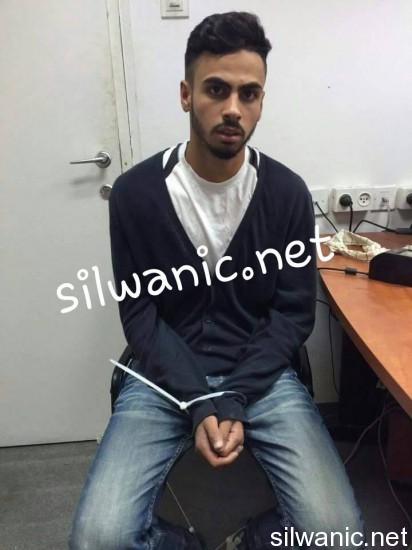 محمود محيسن