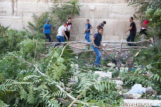 مقبرة باب الرحمة تنظيف