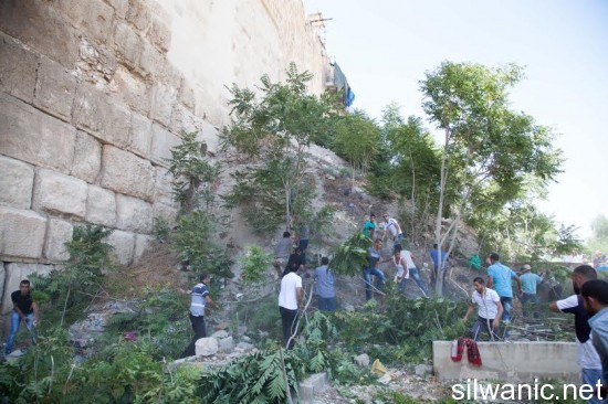 مقبرة باب الرحمنة