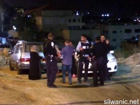 12053166_10153051450877466_471164139_n