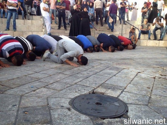 12064077_10153069547027466_1839870293_n