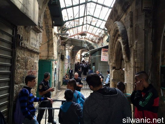 12064210_10153058043477466_1358245080_n