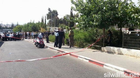 12064266_10153059384182466_798918719_n