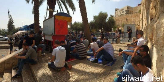 12067347_10153050936322466_1019541772_n