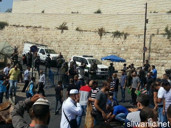 12067928_10153050936177466_1379829633_n