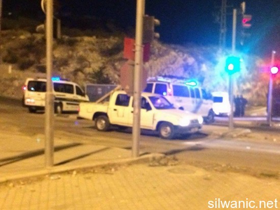 12076931_10153051450867466_1495650369_n (1)