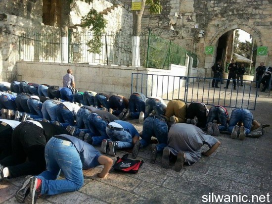 12076955_10153054509787466_1566588131_n