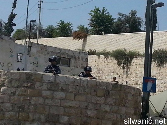 12077308_10153050936227466_787493350_n