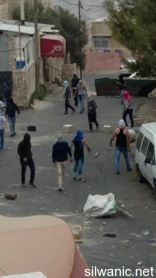 12077351_10153058139762466_148270965_n