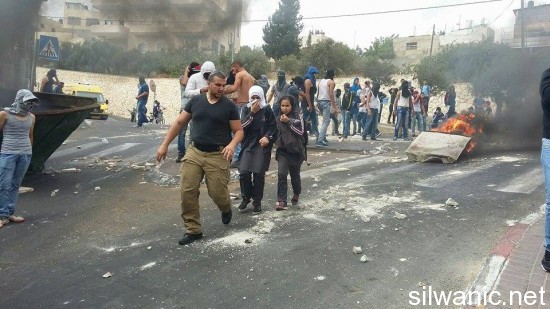 12080892_10153058139642466_60688323_n