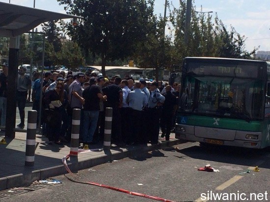 12081592_10153059383632466_990409722_n