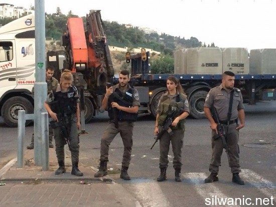 12083614_10153071564502466_383053314_n