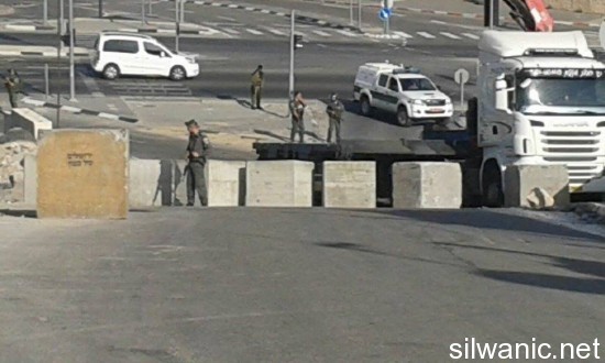 12083616_10153071576217466_969011555_n