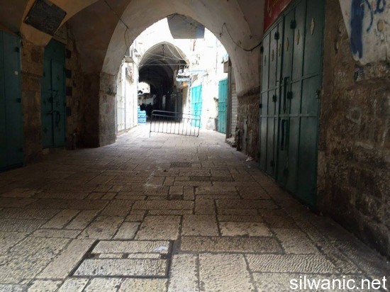 12083961_10153058043407466_2106041736_n