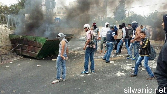 12084101_10153058141487466_722252769_n