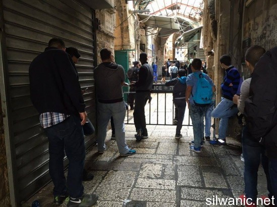 12086779_10153058043517466_799464643_n