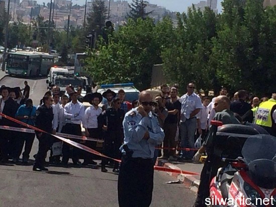 12086989_10153059382437466_1963055346_n