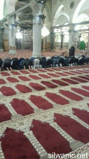 12092237_10153054510012466_2025467841_n