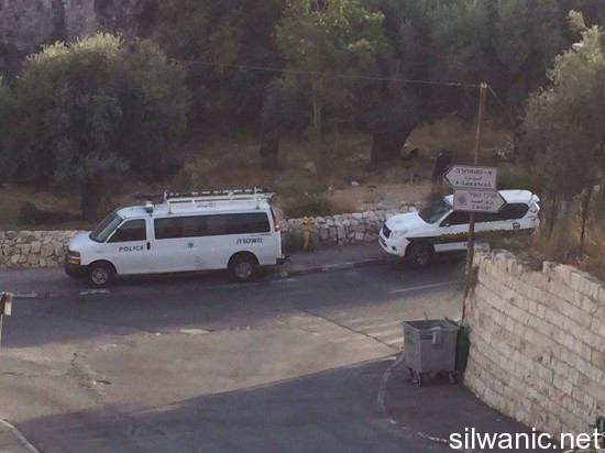 12092256_10153054509582466_1299572424_n