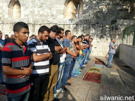 12092436_10153054509722466_1196471665_n