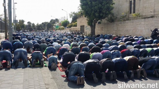 12116383_10153061400517466_43142981_o