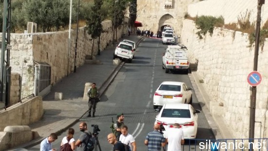 12116416_10153065660282466_41534457_o