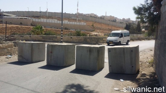 12119289_10153070882717466_1704609028_o