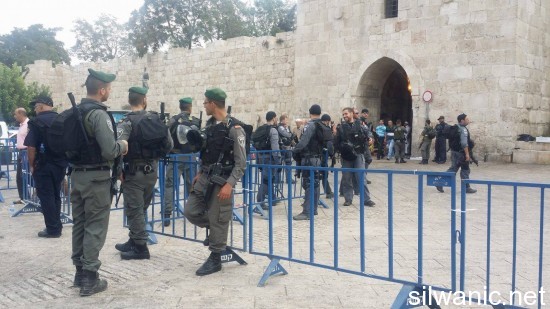 12119517_10153061400457466_33059462_o