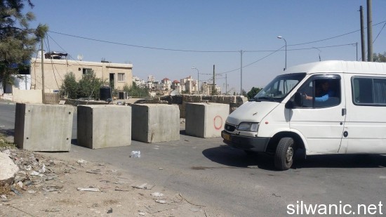 12164453_10153070882542466_1907175077_o