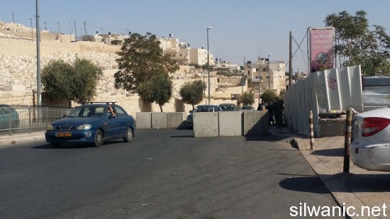 12164552_10153070881912466_296570998_o