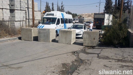 12164707_10153070882357466_155518523_o