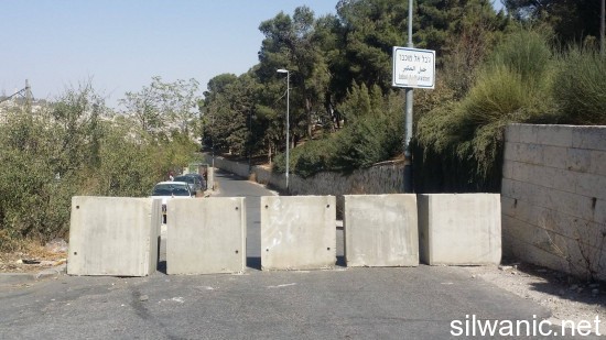 12165278_10153070882152466_282595257_o