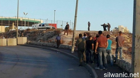 12166647_10153071575957466_1648408297_n