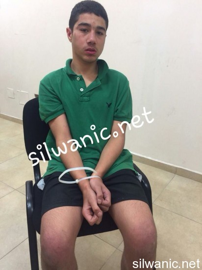 12167633_10153067926197466_1288548571_n